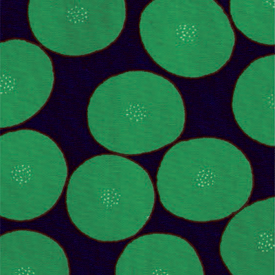 Kokka Muddy Works purple/green