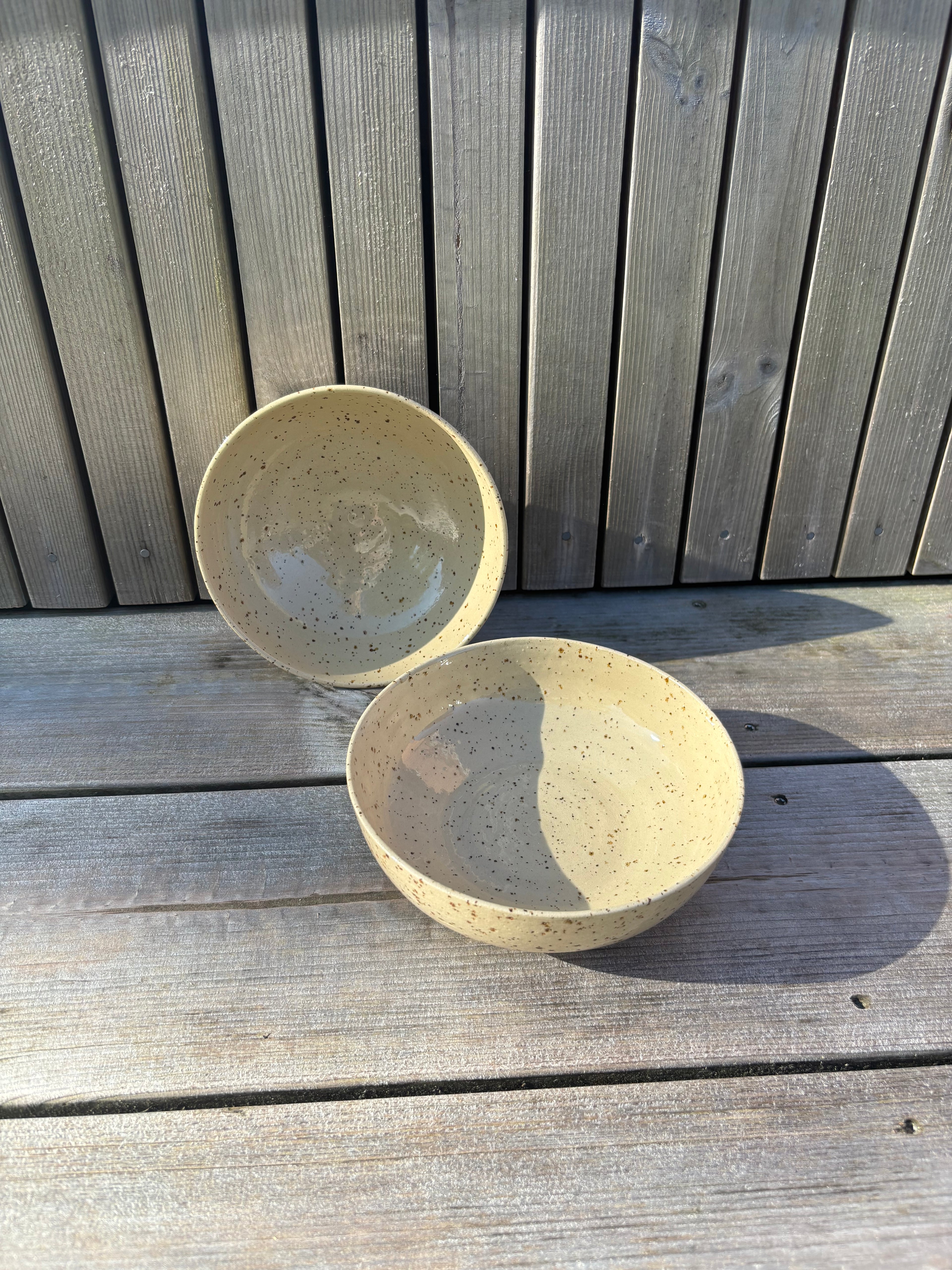 Skål i lavaler