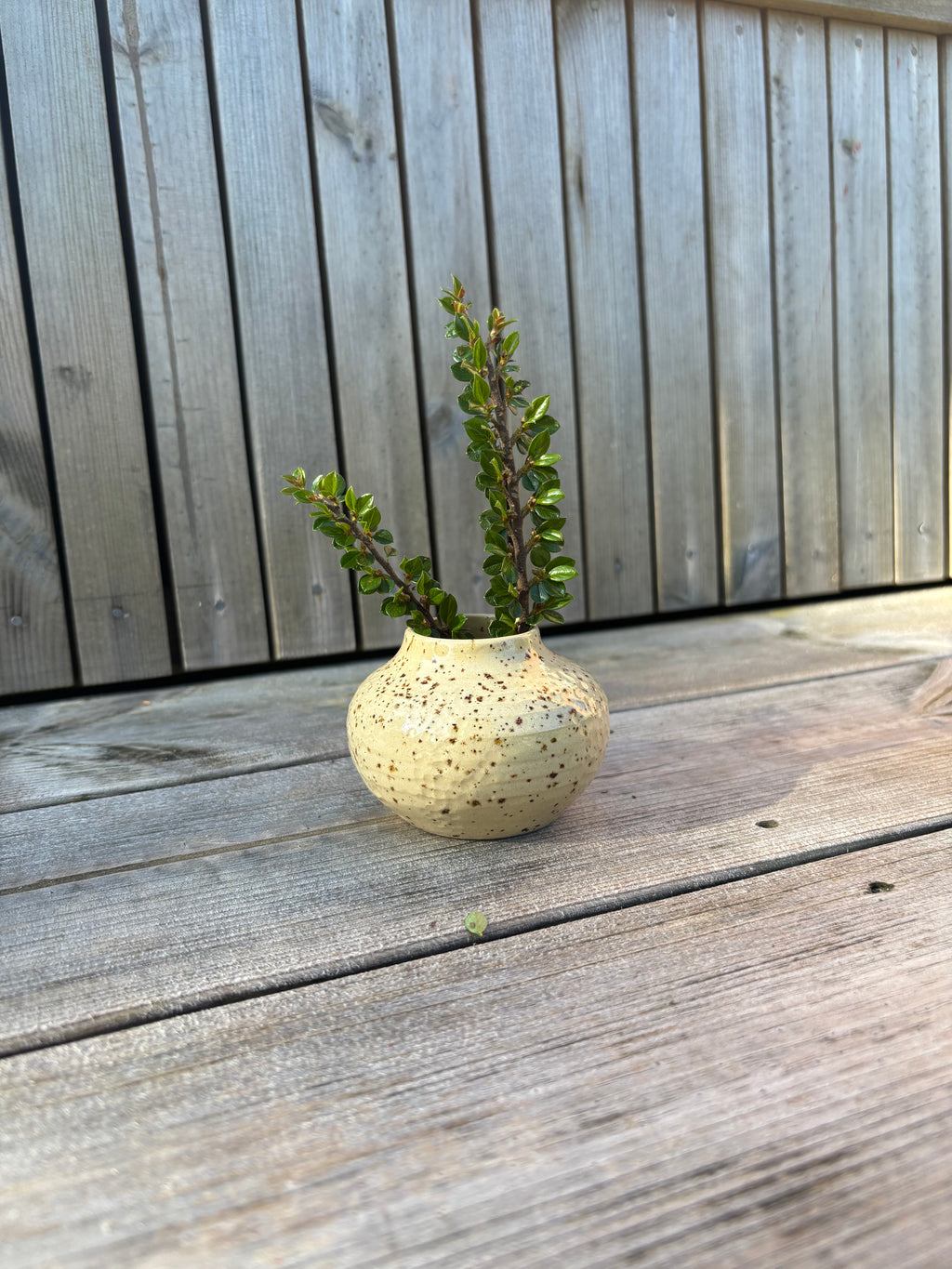 Lille lav lava vase