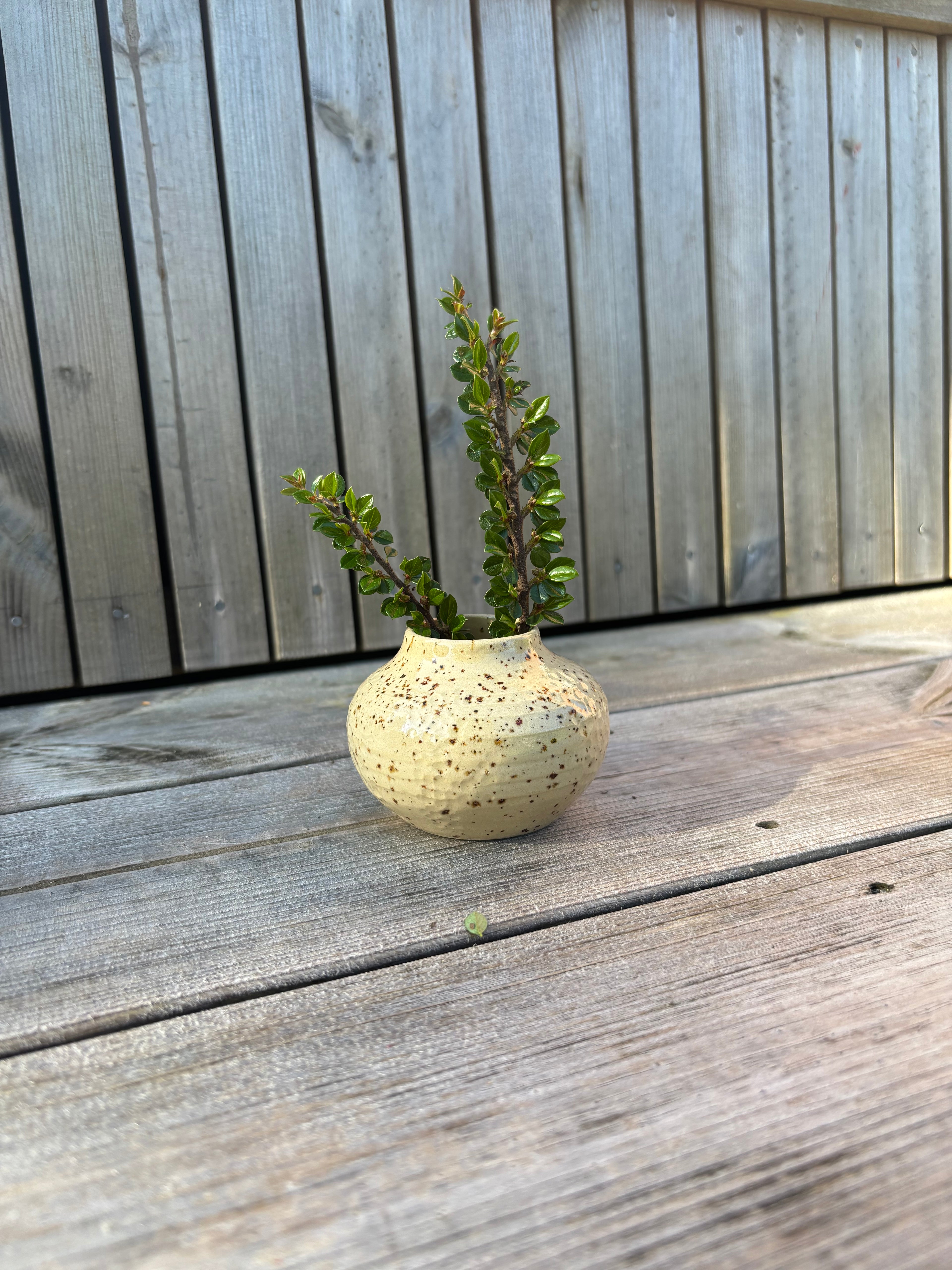 Lille lav lava vase